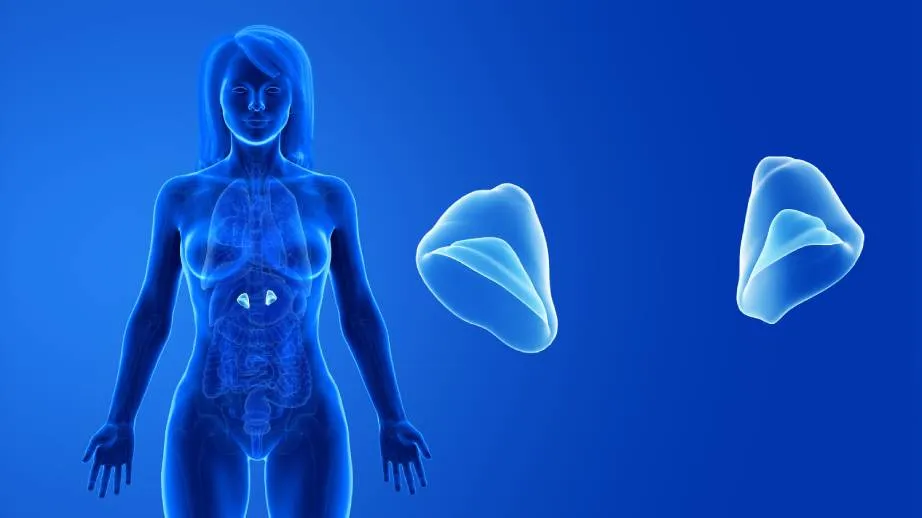 Adrenal fatigue symptoms and evaluation at Balanced Body in Kaysville, Utah